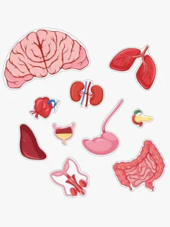 Spil & Puslespil-BarboToys Barbo Toys Body Puslespil Dreng 36 Brikker Blå