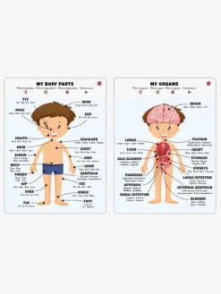 Spil & Puslespil-BarboToys Barbo Toys Body Puslespil Dreng 36 Brikker Blå