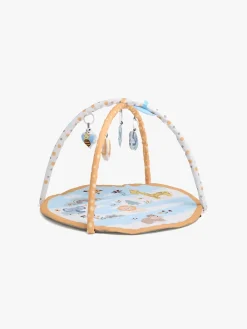 Babylegetøj-Beemoo PLAY Pals River Aktivitetscenter Flerfarvet