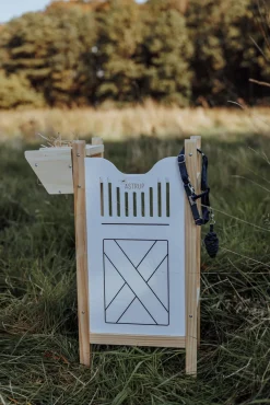 Dukker & Bamser-byASTRUP Hesteboks til 2 Kæpheste