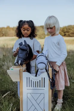 Dukker & Bamser-byASTRUP Hesteboks til 2 Kæpheste