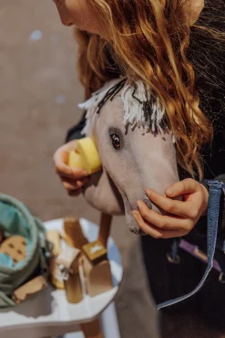 Dukker & Bamser-byASTRUP Plejesæt til Kæpheste Flerfarvet
