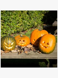 Kreativt Legetøj-CreativCompany Creativ Company Halloween Græskar Skæresæt