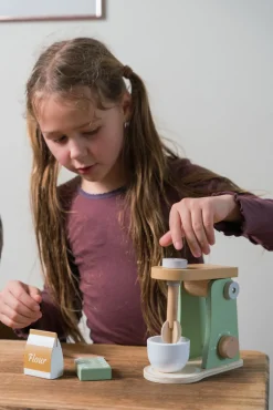 Rolleleg-Dantoy Blender Wood In Gift Box