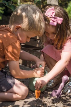 Rolleleg-Dantoy GG Plantesæt i Kasse