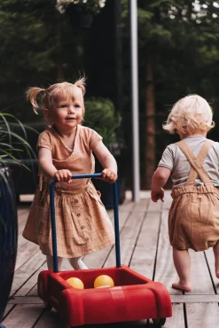 Babylegetøj-Dantoy Gåvogn