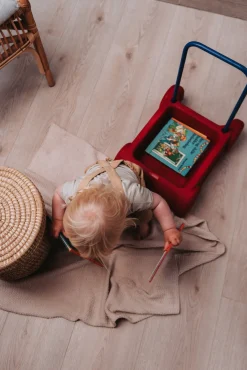 Babylegetøj-Dantoy Gåvogn