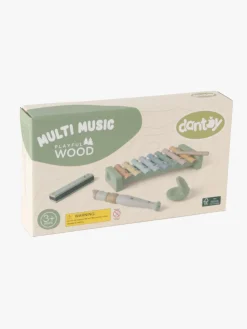 Motorisk Legetøj-Dantoy Musiksæt Wooden In Gift Box