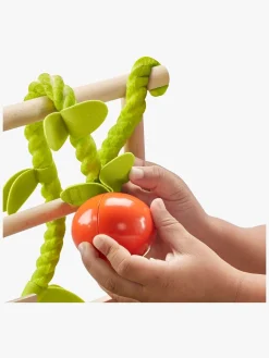 Rolleleg-FisherPrice Fisher-Price Farm-to-Market Stand