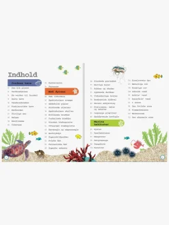 Bøger-GlobeForlaget Havet - Leksikon for de yngste