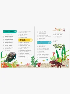 Bøger-GlobeForlaget Havet - Leksikon for de yngste