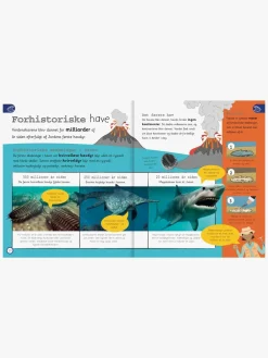 Bøger-GlobeForlaget Havet - Leksikon for de yngste