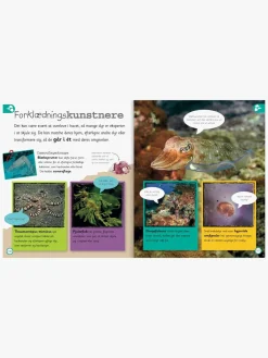 Bøger-GlobeForlaget Havet - Leksikon for de yngste