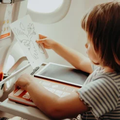 Kreativt Legetøj-Kidywolf KIDYDRAW MINI Tegnetablet LCD Dinosaur Brun