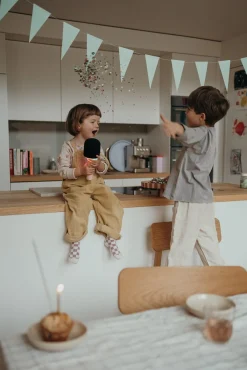 Elektronik & Media-Kidywolf KIDYMIC Karaokemikrofon All-in-One, Pink Lyserød