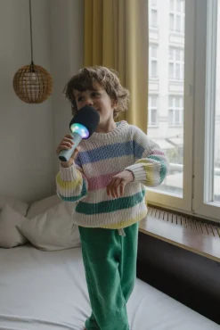 Elektronik & Media-Kidywolf KIDYMIC Karaokemikrofon All-in-One, Grøn Grøn