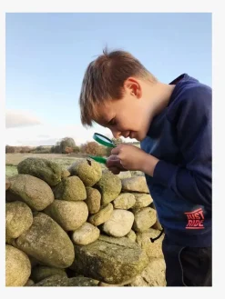 Eksperimenter & Videnskab-Liniex Explore Opdagelsessæt