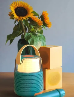 Elektronik & Media-MOB Karaokesæt med Mikrofon, Blå Grøn