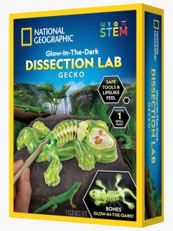 Eksperimenter & Videnskab-NationalGeographic National Geographic Gecko Laboratorie-dissektionssæt