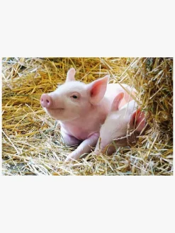 Spil & Puslespil-Ravensburger Puslespil Bondegårdsdyr 2x12 Brikker