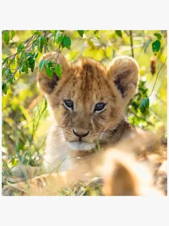 Spil & Puslespil-Ravensburger Puslespil Panda, Lion and Tiger 3x49 Brikker