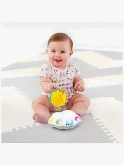 Babylegetøj-SkipHop Skip Hop Explore&More Kravlelegetøj, Bi