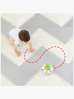 Babylegetøj-SkipHop Skip Hop Explore&More Kravlelegetøj, Bi