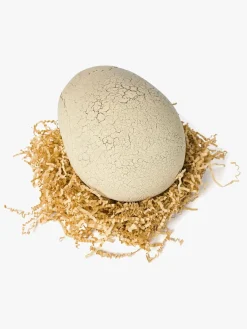 Interaktivt Legetøj-SpinMaster Spin Master Primal Hatch Legetøj Hatching Dinosaur