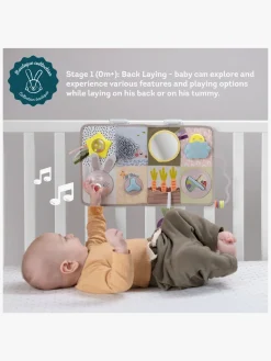 Babylegetøj-TAFToys TAF Toys Udviklende Aktivitetslegetøj