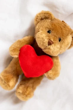 Dukker & Bamser-Teddykompaniet Bamse Hjalmar, Brun