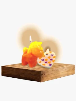 Eksperimenter & Videnskab-ToyRock STEM Lysfabrik