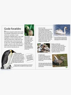 Bøger-GlobeForlaget Ud i naturen - Fugle