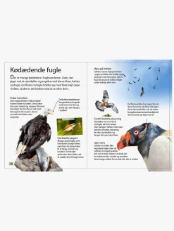 Bøger-GlobeForlaget Ud i naturen - Fugle