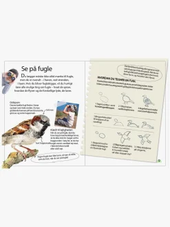 Bøger-GlobeForlaget Ud i naturen - Fugle