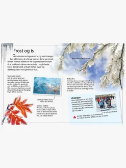 Bøger-GlobeForlaget Ud i naturen - Vejret